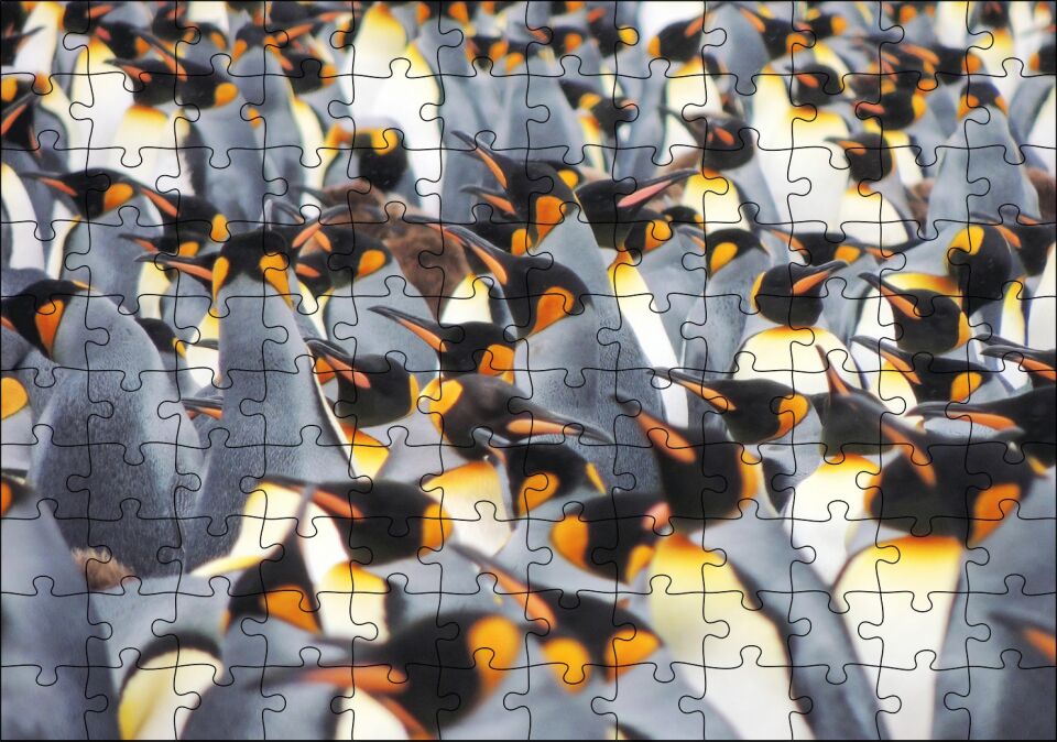 İmpataror Penguenleri Bir Arada Puzzle Yapboz MDF Ahşap