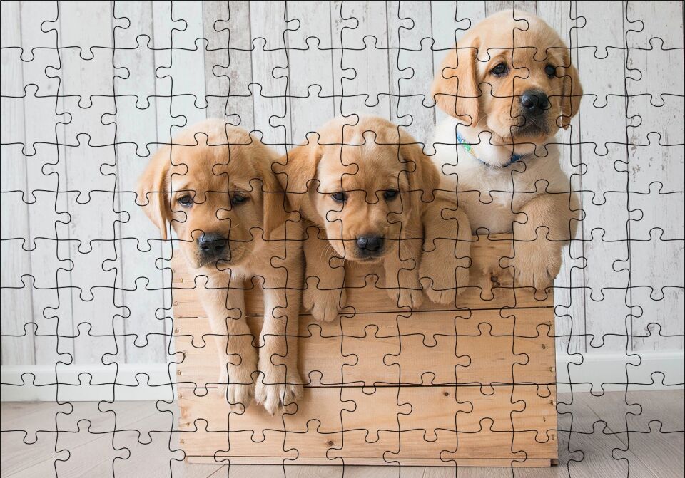 Kasada Golden Yavruları Puzzle Yapboz MDF Ahşap 120 Parça 24 cm X 34 cm