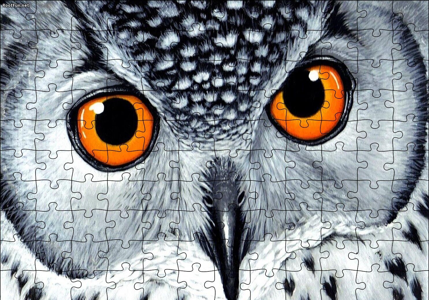 Turuncu Gözlü Kar Baykuşu Yakın Plan Puzzle Yapboz MDF Ahşap 120 Parça 24 cm X 34 cm