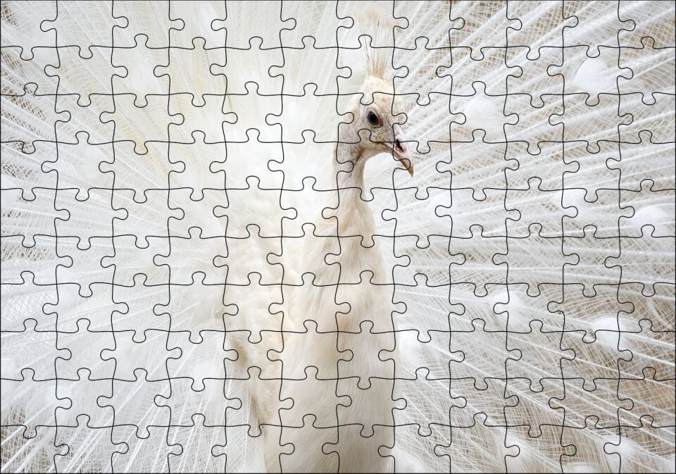 Beyaz Tavus Kuşu Görseli Puzzle Yapboz MDF Ahşap