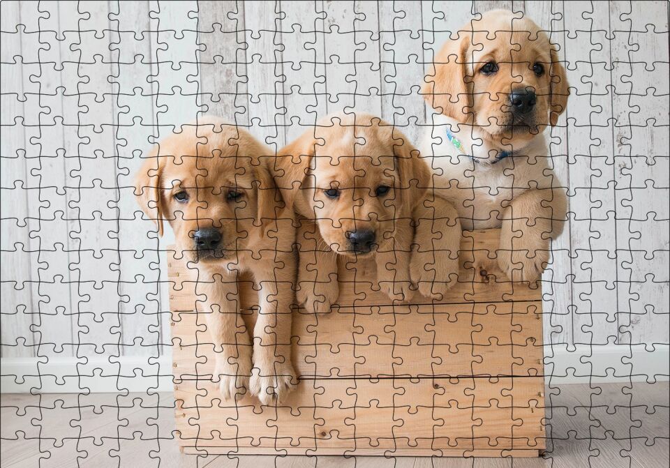 Kasada Golden Yavruları Puzzle Yapboz MDF Ahşap 255 Parça 34 cm X 49 cm