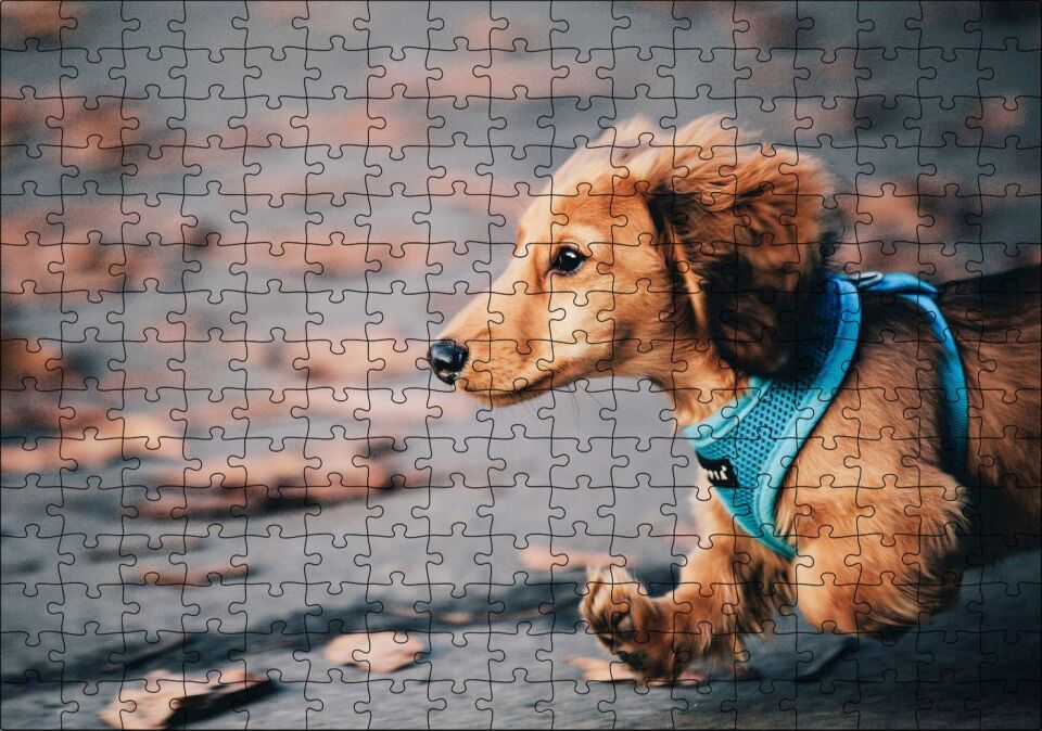 Koşan Sevimli Kahverengi Köpek Puzzle Yapboz MDF Ahşap 255 Parça 34 cm X 49 cm