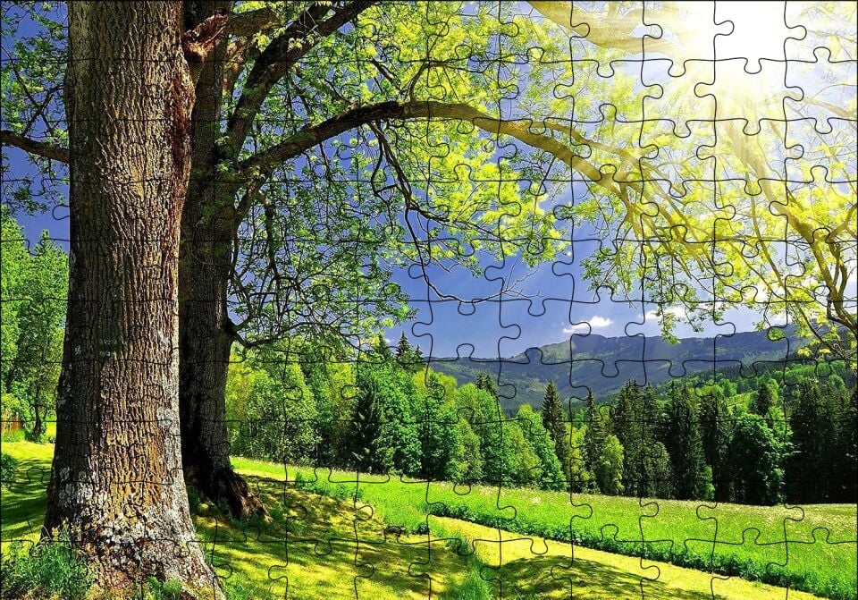 Yemyeşil Ağaçlar ve Güneş Işıkları Puzzle Yapboz MDF Ahşap