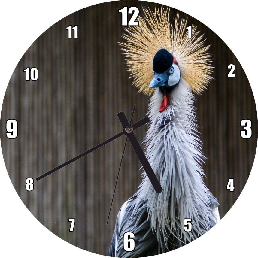 Gri Taçlı Turna Kuşu Yakın Çekim Mdf Ahşap Duvar Saati