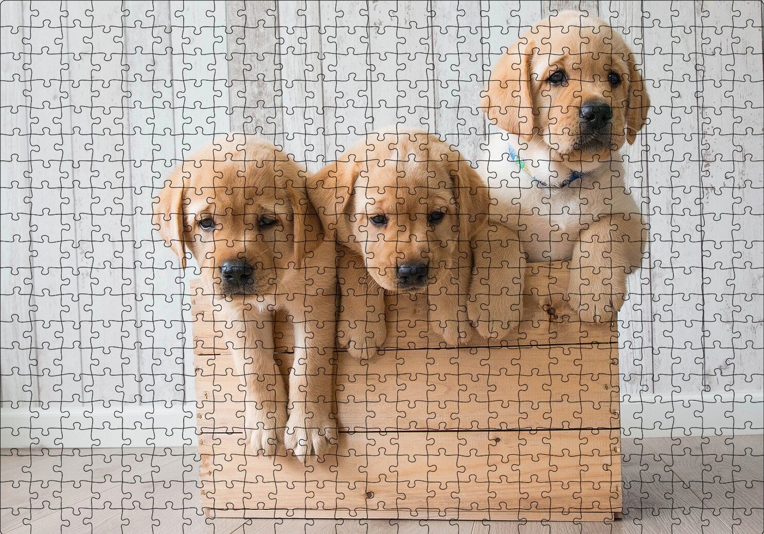 Kasada Golden Yavruları Puzzle Yapboz MDF Ahşap 500 Parça 49 cm X 68 cm