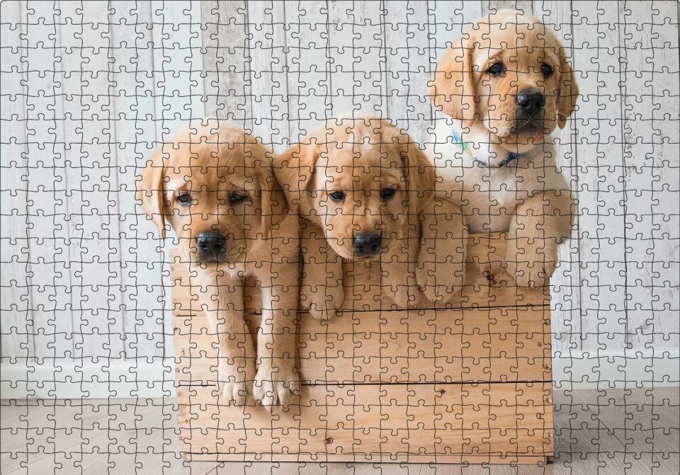 Kasada Golden Yavruları Puzzle Yapboz MDF Ahşap 500 Parça 49 cm X 68 cm