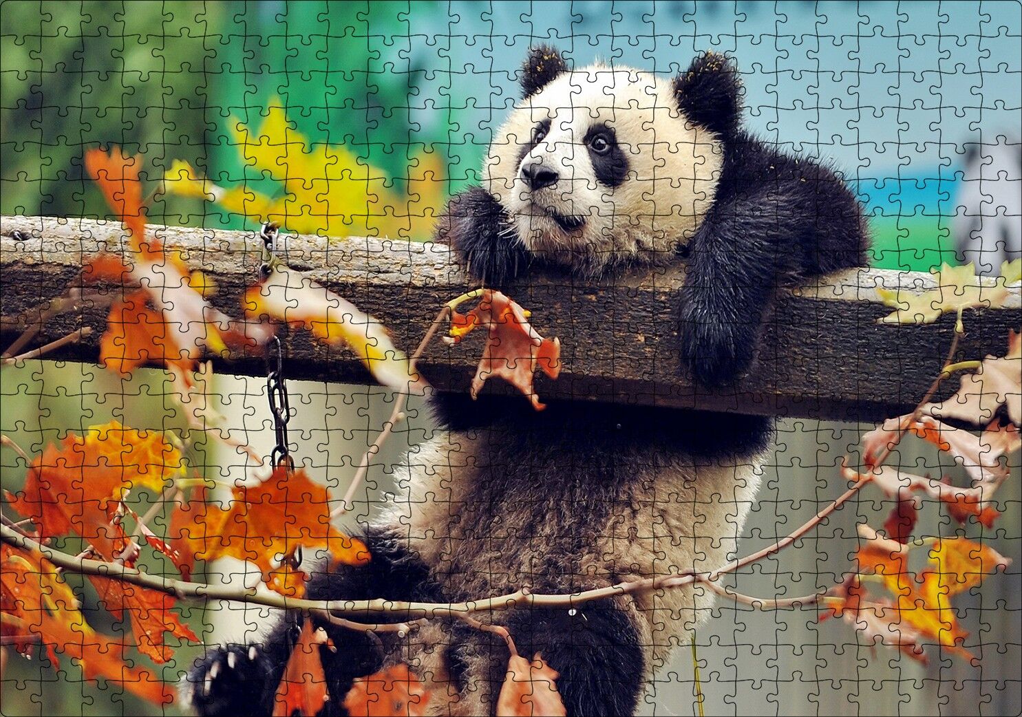 Bir Çitte Sarkan Panda Görseli Puzzle Yapboz MDF Ahşap 500 Parça 49 cm X 68 cm