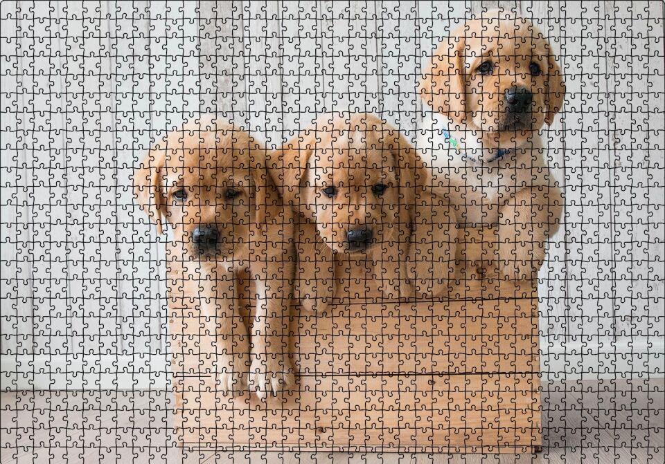 Kasada Golden Yavruları Puzzle Yapboz MDF Ahşap 1000 Parça 49 cm X 68 cm
