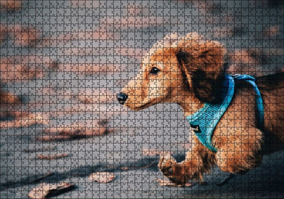Koşan Sevimli Kahverengi Köpek Puzzle Yapboz MDF Ahşap 1000 Parça 49 cm X 68 cm
