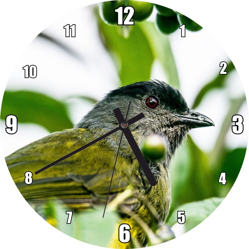 Gri Sarı Kuş ve Dalda Yeşil Meyveler Mdf Ahşap Duvar Saati