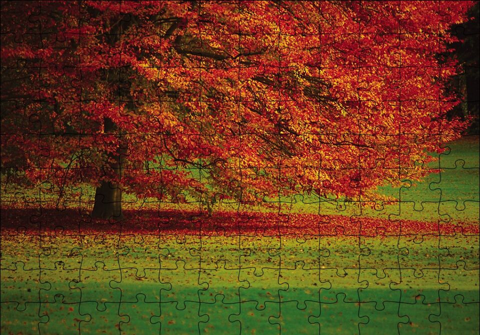 Kırmızı Ağaç Sonbahar Puzzle Yapboz MDF Ahşap 120 Parça 24 cm X 34 cm
