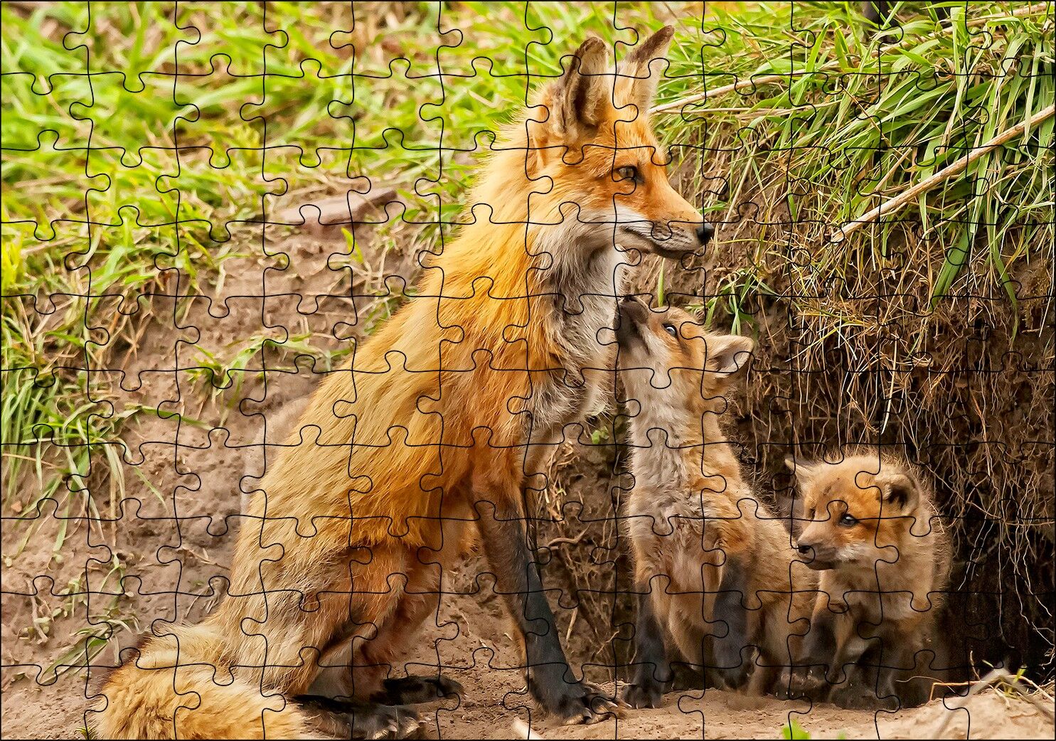 Yuvanın Girişinde Anne Tilki ve Yavruları Puzzle Yapboz MDF Ahşap 120 Parça 24 cm X 34 cm