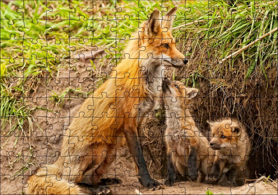 Yuvanın Girişinde Anne Tilki ve Yavruları Puzzle Yapboz MDF Ahşap 120 Parça 24 cm X 34 cm
