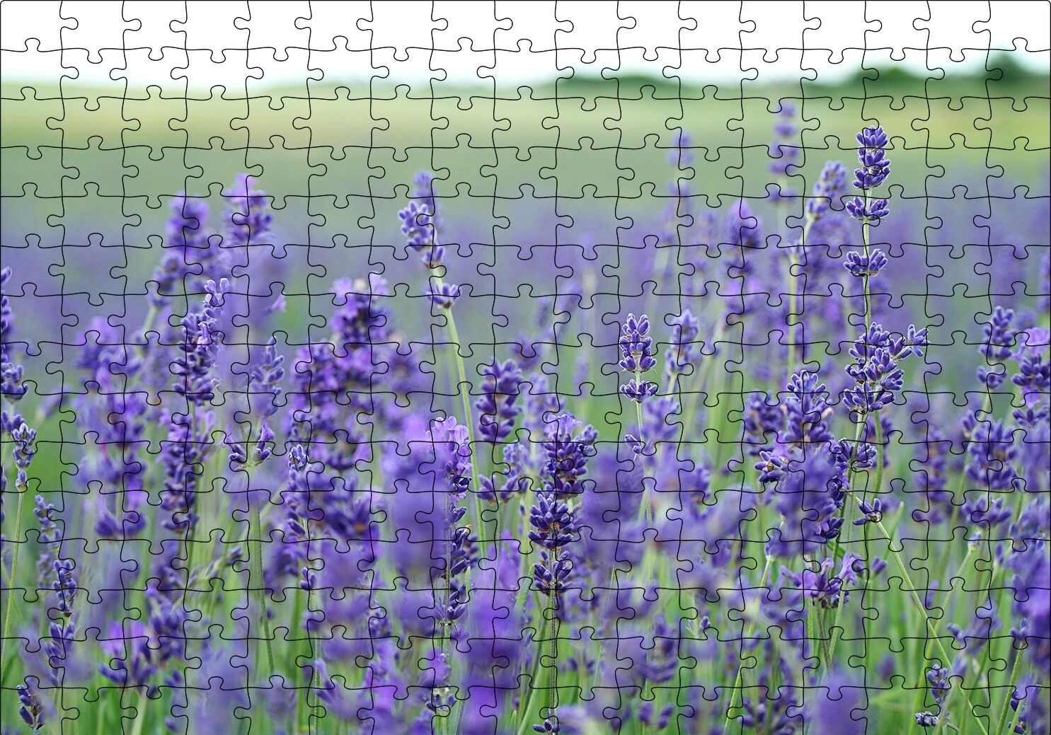 Yeşil Çayırlar ve Lavantalar Puzzle Yapboz MDF Ahşap 255 Parça 34 cm X 49 cm