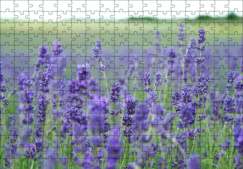 Yeşil Çayırlar ve Lavantalar Puzzle Yapboz MDF Ahşap 255 Parça 34 cm X 49 cm