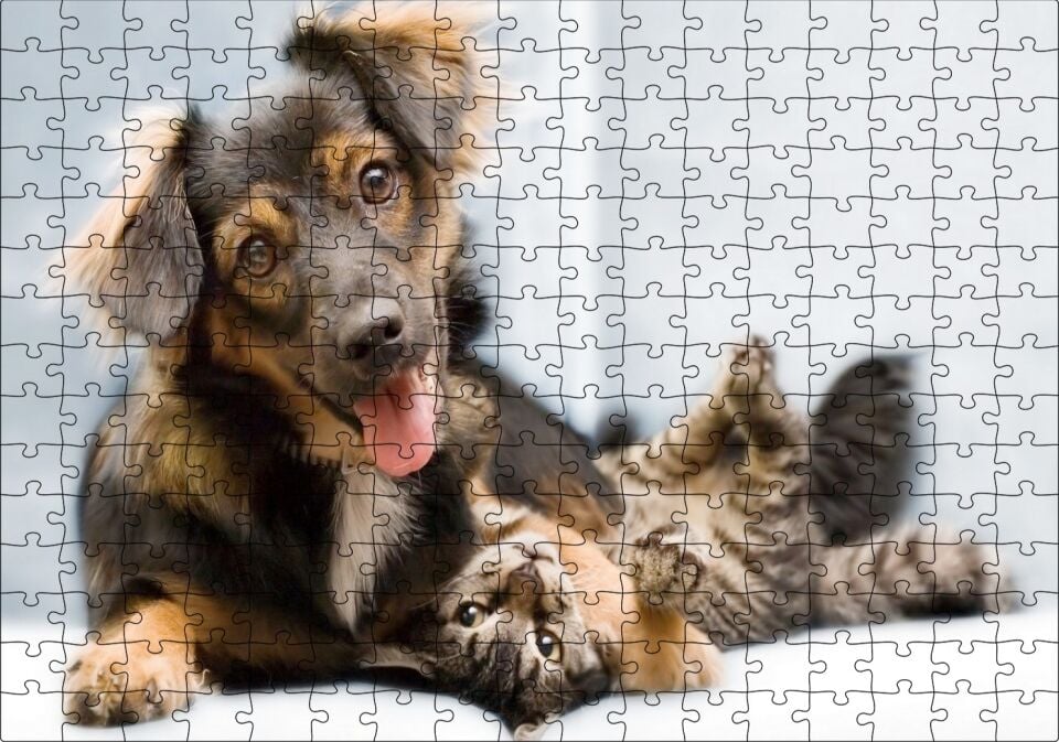 Sıkı Dostlar Sevimli Köpek ve Kedicik Puzzle Yapboz MDF Ahşap 255 Parça 34 cm X 49 cm