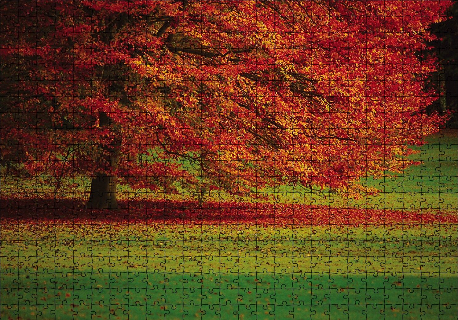 Kırmızı Ağaç Sonbahar Puzzle Yapboz MDF Ahşap 500 Parça 49 cm X 68 cm