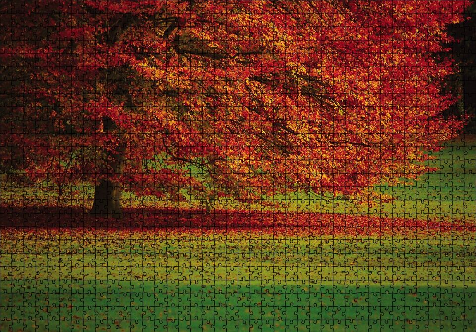 Kırmızı Ağaç Sonbahar Puzzle Yapboz MDF Ahşap 1000 Parça 49 cm X 68 cm