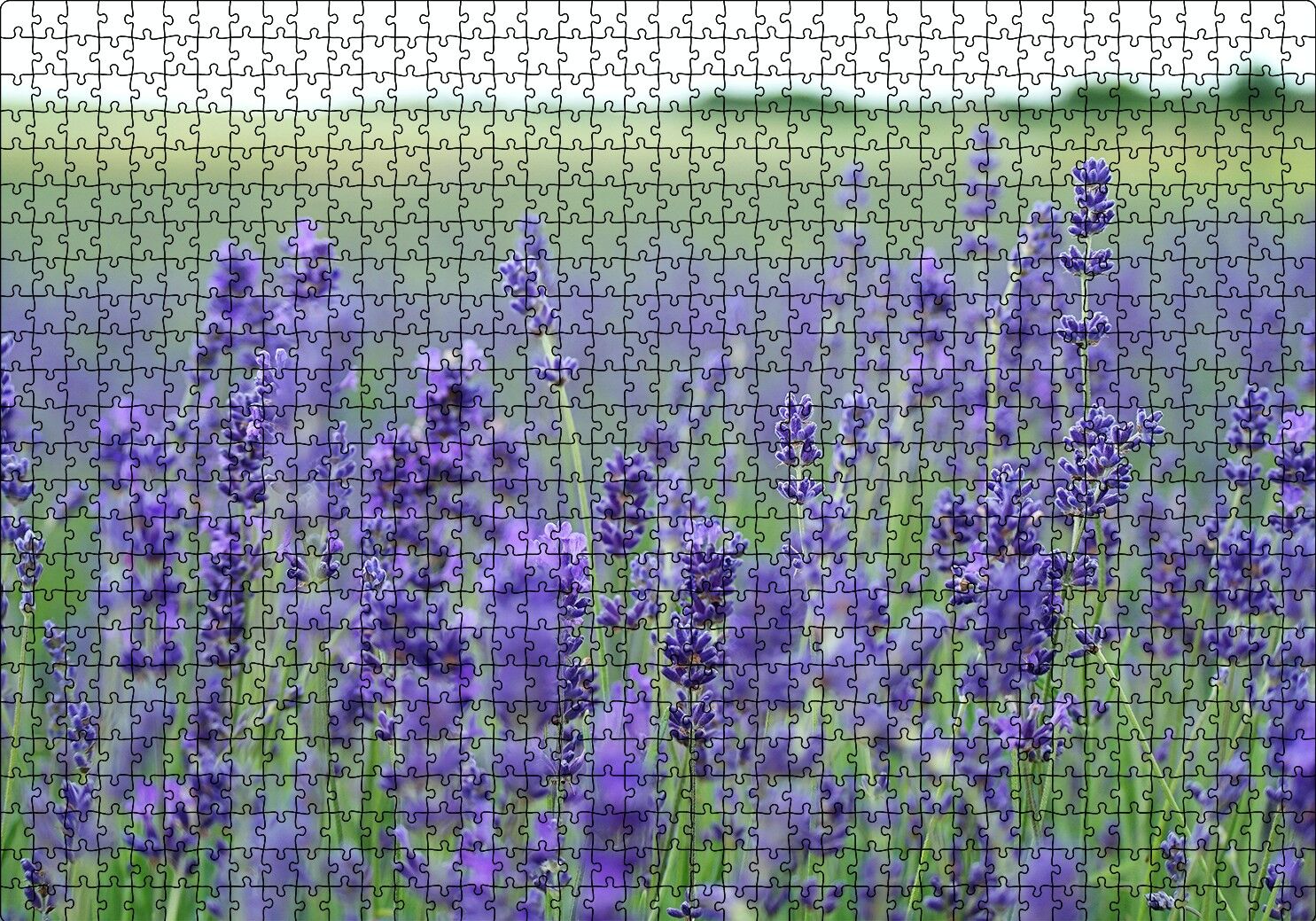 Yeşil Çayırlar ve Lavantalar Puzzle Yapboz MDF Ahşap 1000 Parça 49 cm X 68 cm