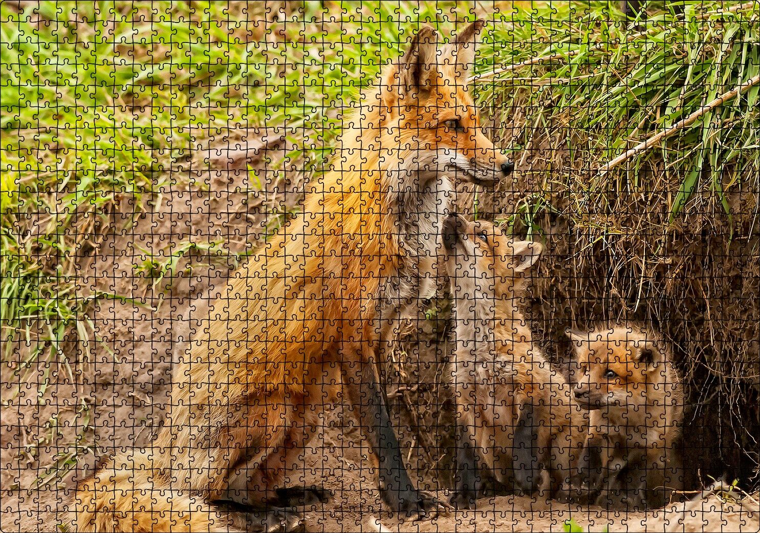 Yuvanın Girişinde Anne Tilki ve Yavruları Puzzle Yapboz MDF Ahşap 1000 Parça 49 cm X 68 cm