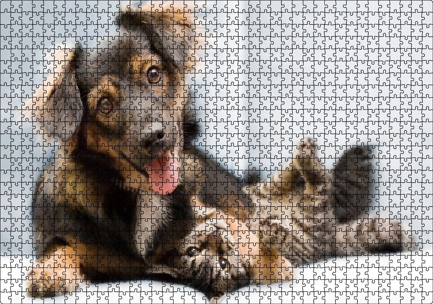 Sıkı Dostlar Sevimli Köpek ve Kedicik Puzzle Yapboz MDF Ahşap 1000 Parça 49 cm X 68 cm
