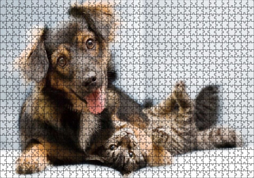 Sıkı Dostlar Sevimli Köpek ve Kedicik Puzzle Yapboz MDF Ahşap 1000 Parça 49 cm X 68 cm