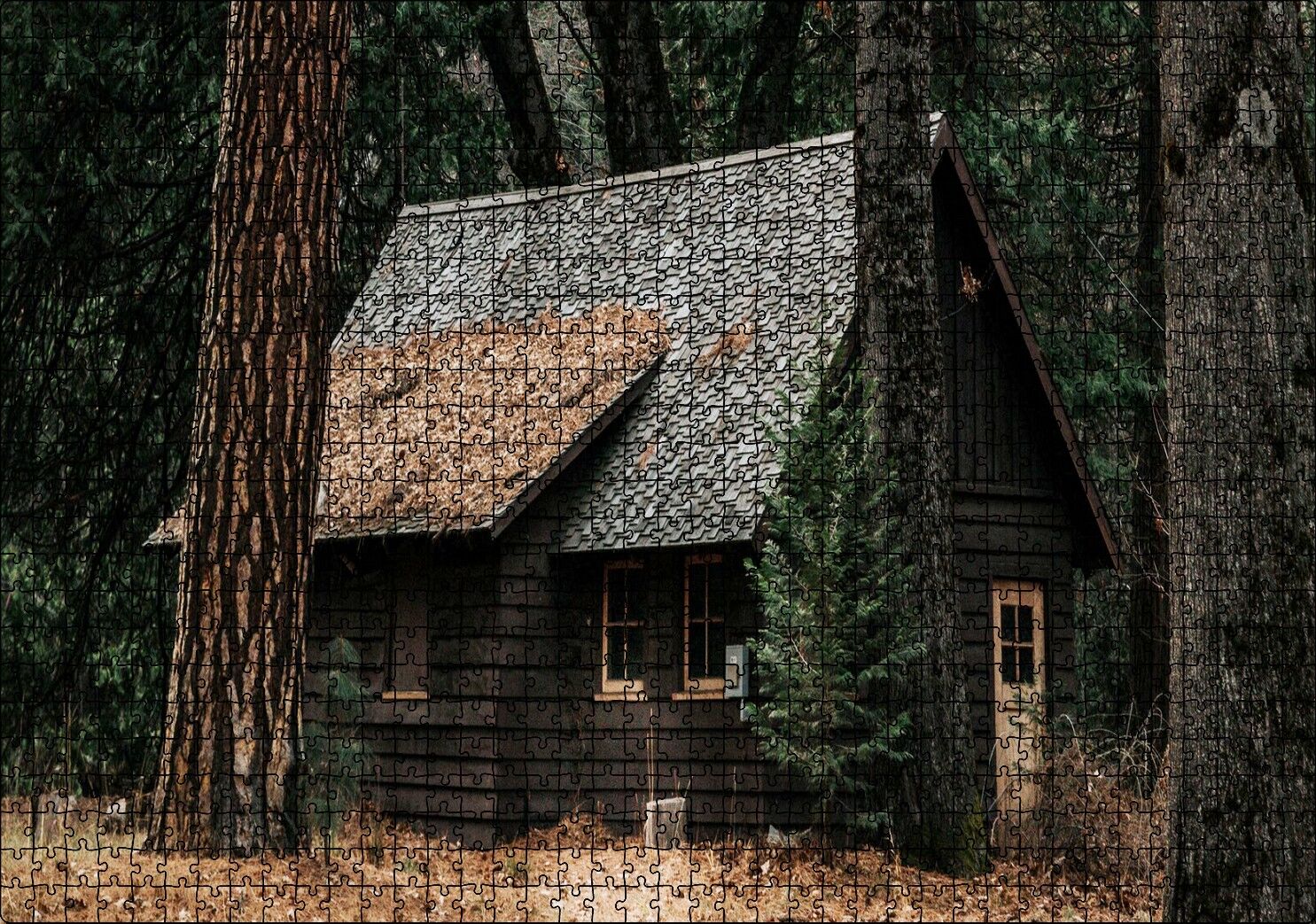 Koyu Ormandaki Ahşap Ev ve Dev Ağaçlar Puzzle Yapboz MDF Ahşap 1000 Parça 49 cm X 68 cm