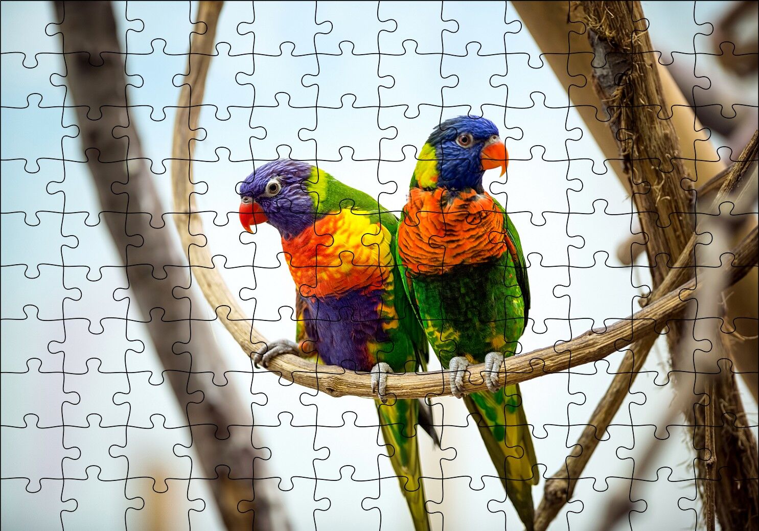 Daldaki Papağan Çift Puzzle Yapboz MDF Ahşap 120 Parça 24 cm X 34 cm