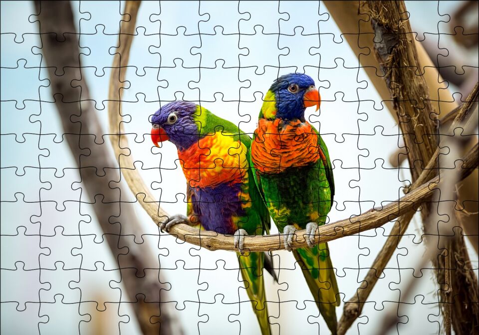 Daldaki Papağan Çift Puzzle Yapboz MDF Ahşap 120 Parça 24 cm X 34 cm
