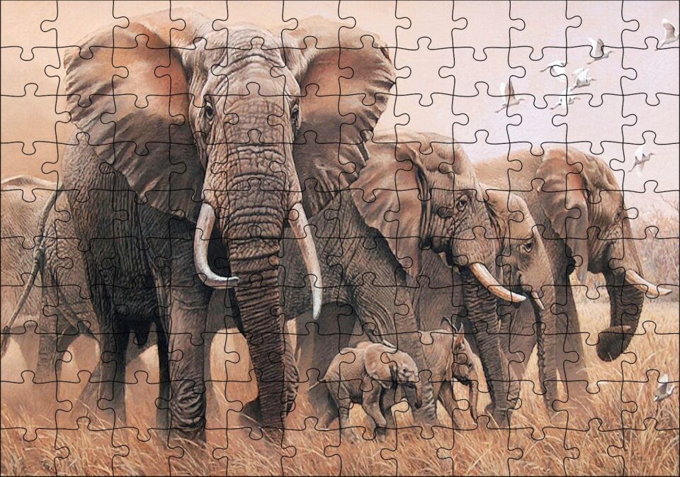Doğada Fil Ayleleri Kuşlar Görseli Puzzle Yapboz MDF Ahşap