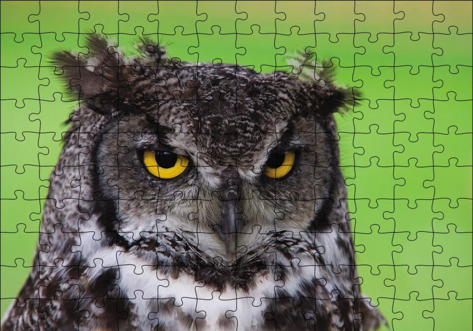 Sarı Gözlü Baykuş Puzzle Yapboz MDF Ahşap