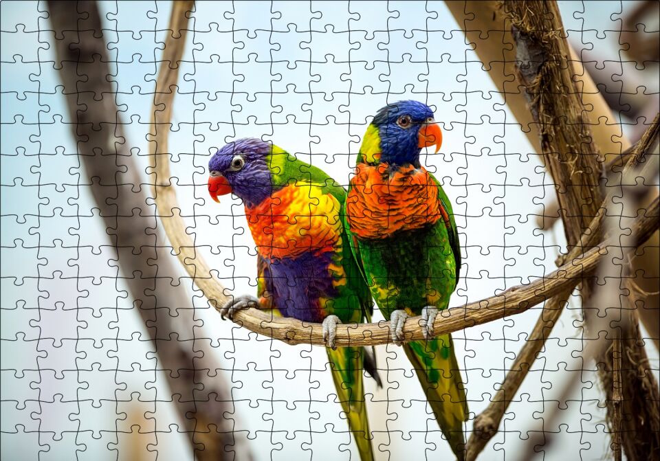 Daldaki Papağan Çift Puzzle Yapboz MDF Ahşap 255 Parça 34 cm X 49 cm