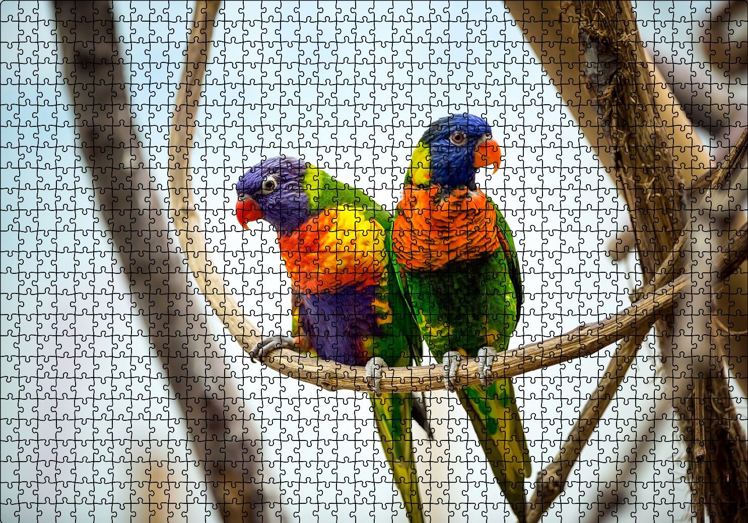 Daldaki Papağan Çift Puzzle Yapboz MDF Ahşap 1000 Parça 49 cm X 68 cm