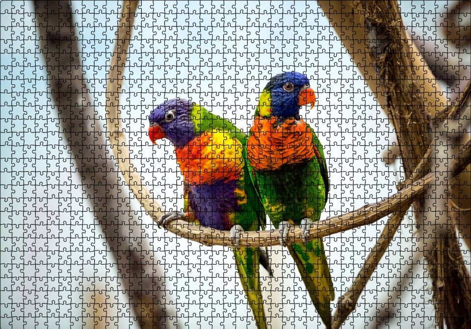 Daldaki Papağan Çift Puzzle Yapboz MDF Ahşap 1000 Parça 49 cm X 68 cm