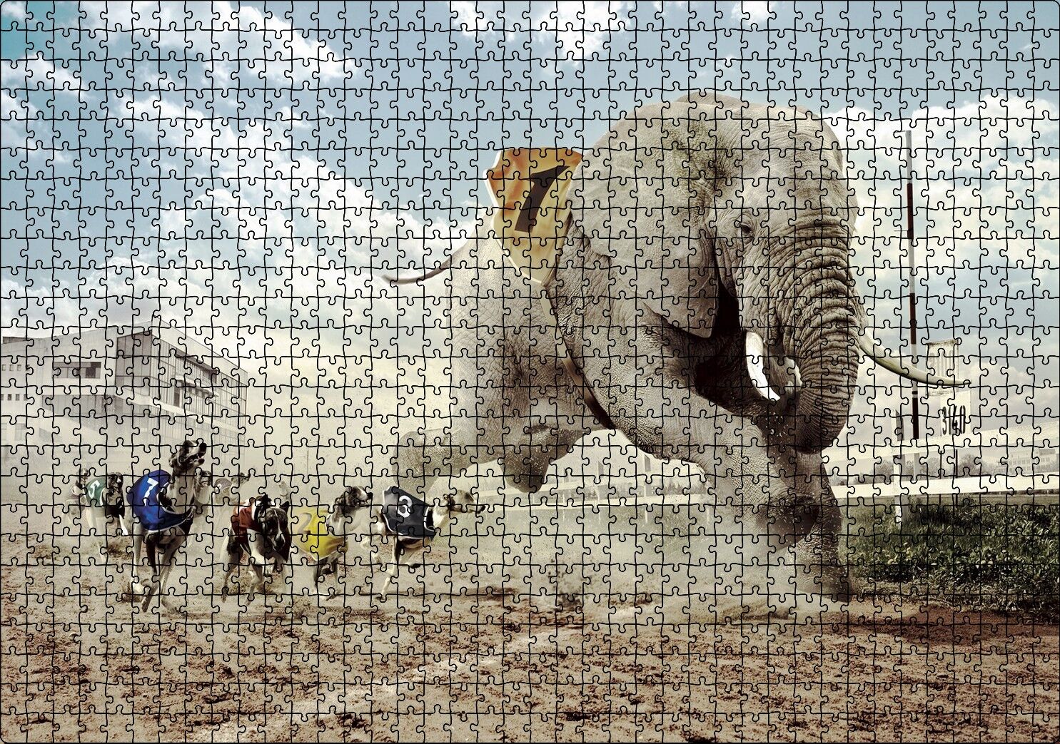 Köpek Yarışına Katılan Fil İllüstrasyon Puzzle Yapboz MDF Ahşap 1000 Parça 49 cm X 68 cm