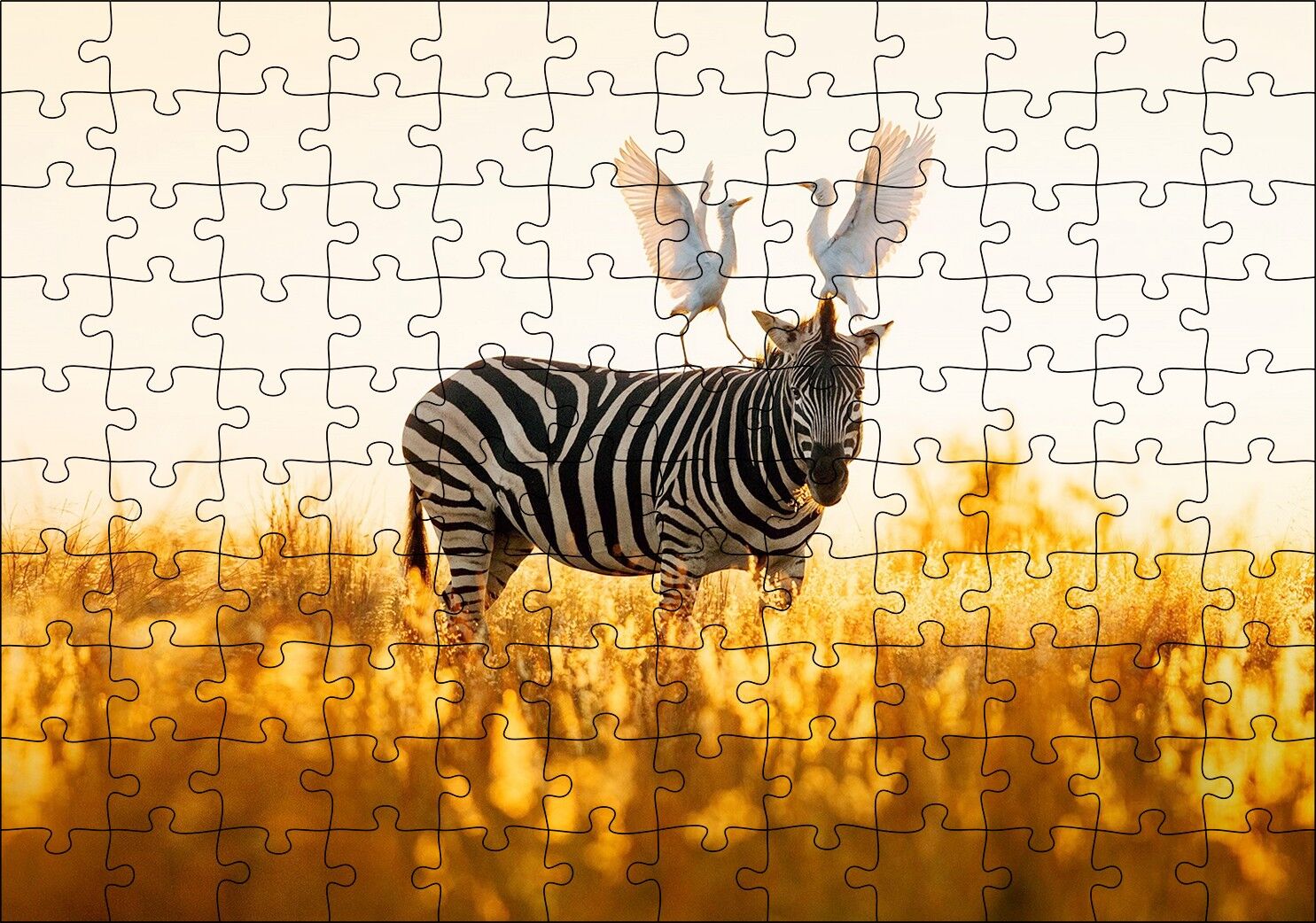 Doğada Zebra Ve Kuşlar Görseli Puzzle Yapboz MDF Ahşap