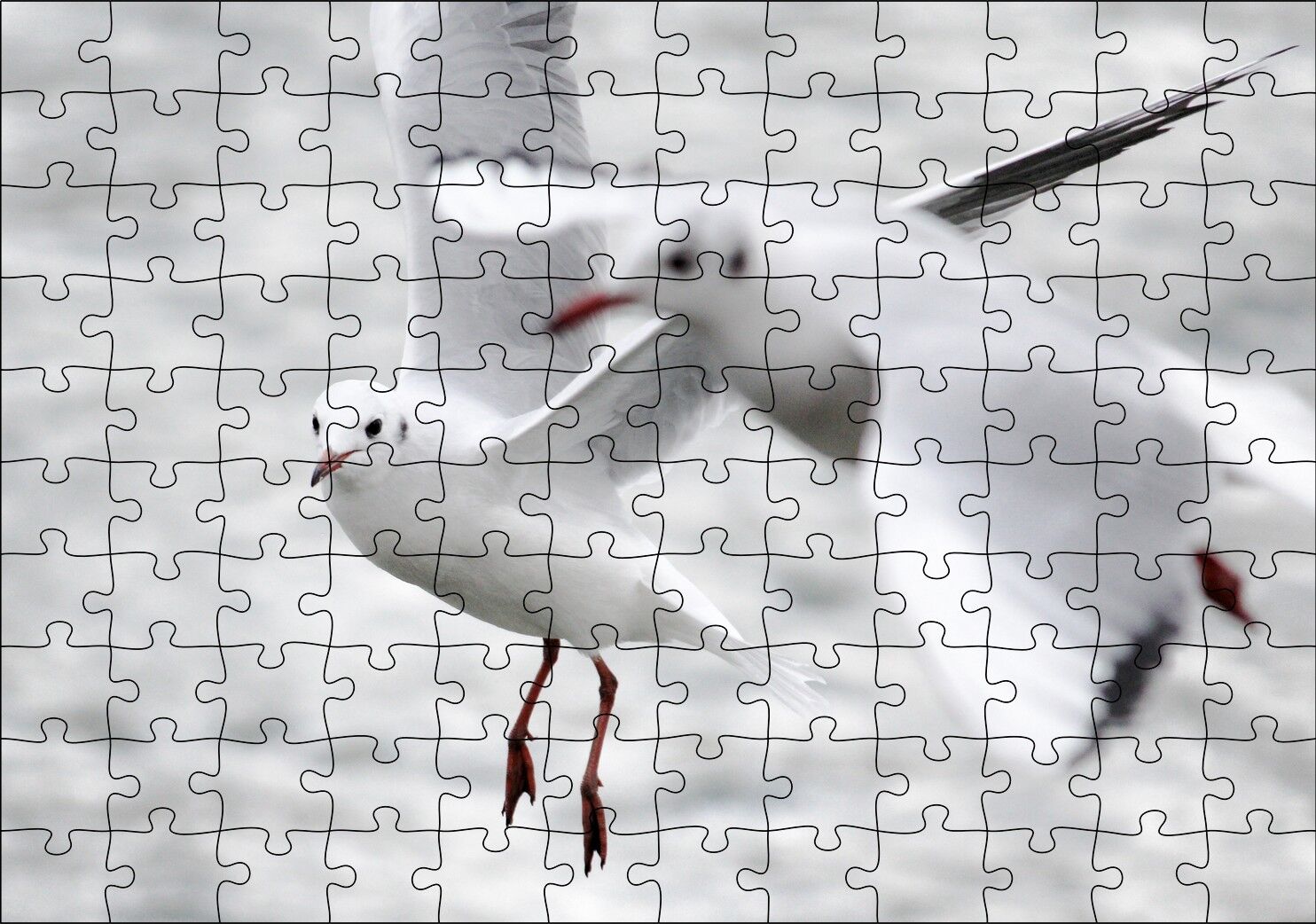İki Martı Yakın Çekim Flu Deniz Arka Plan Puzzle Yapboz MDF Ahşap 120 Parça 24 cm X 34 cm