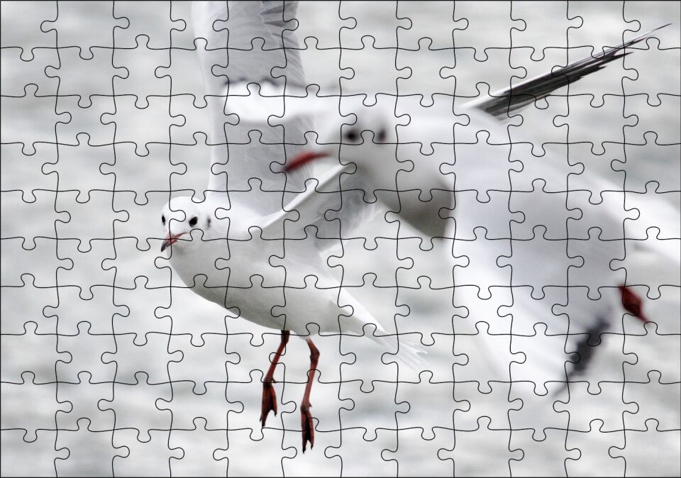 İki Martı Yakın Çekim Flu Deniz Arka Plan Puzzle Yapboz MDF Ahşap 120 Parça 24 cm X 34 cm