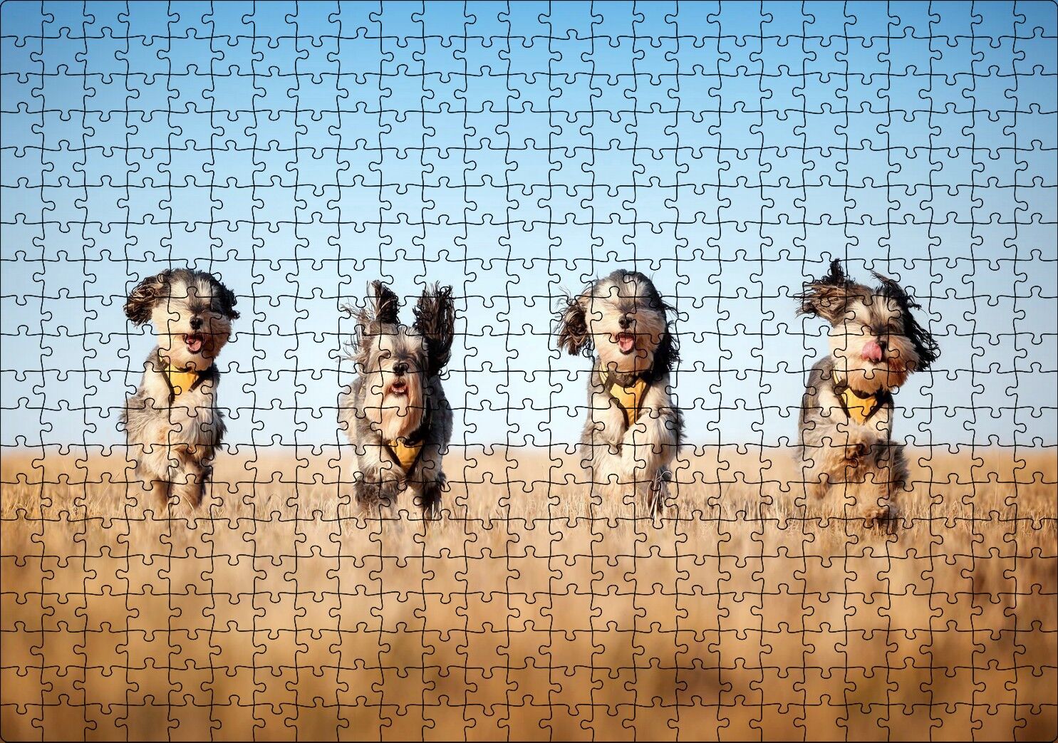 Kuru Otların Arasında Koşan 4 Sevimli Terrier Puzzle Yapboz MDF Ahşap 500 Parça 49 cm X 68 cm