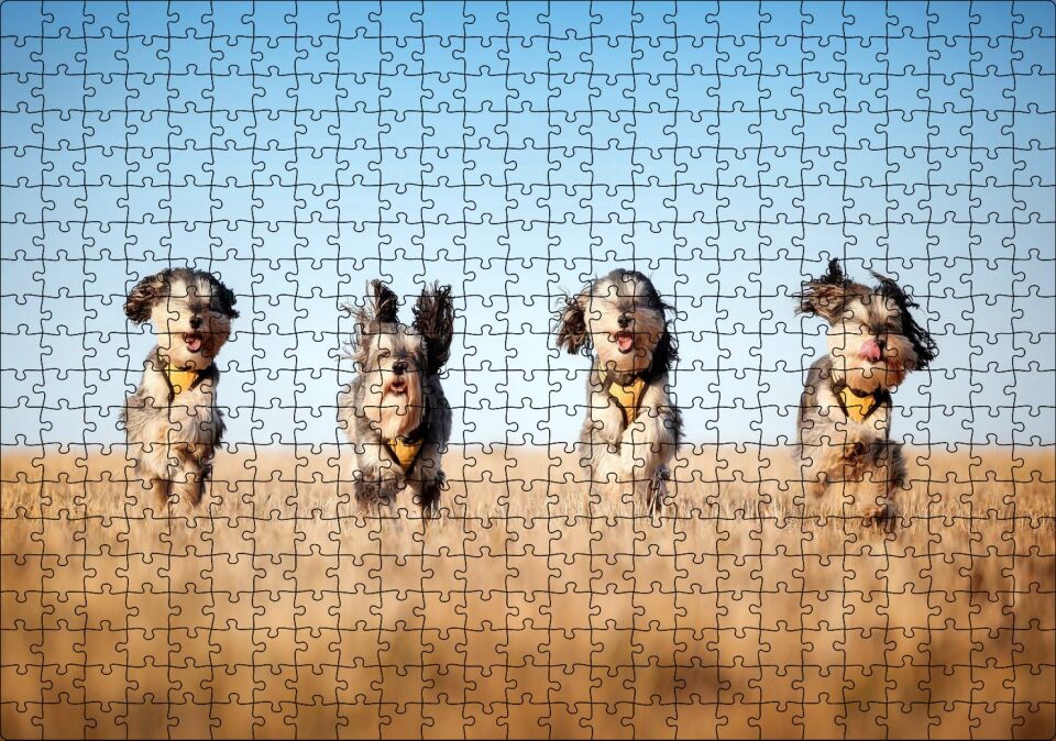 Kuru Otların Arasında Koşan 4 Sevimli Terrier Puzzle Yapboz MDF Ahşap 500 Parça 49 cm X 68 cm