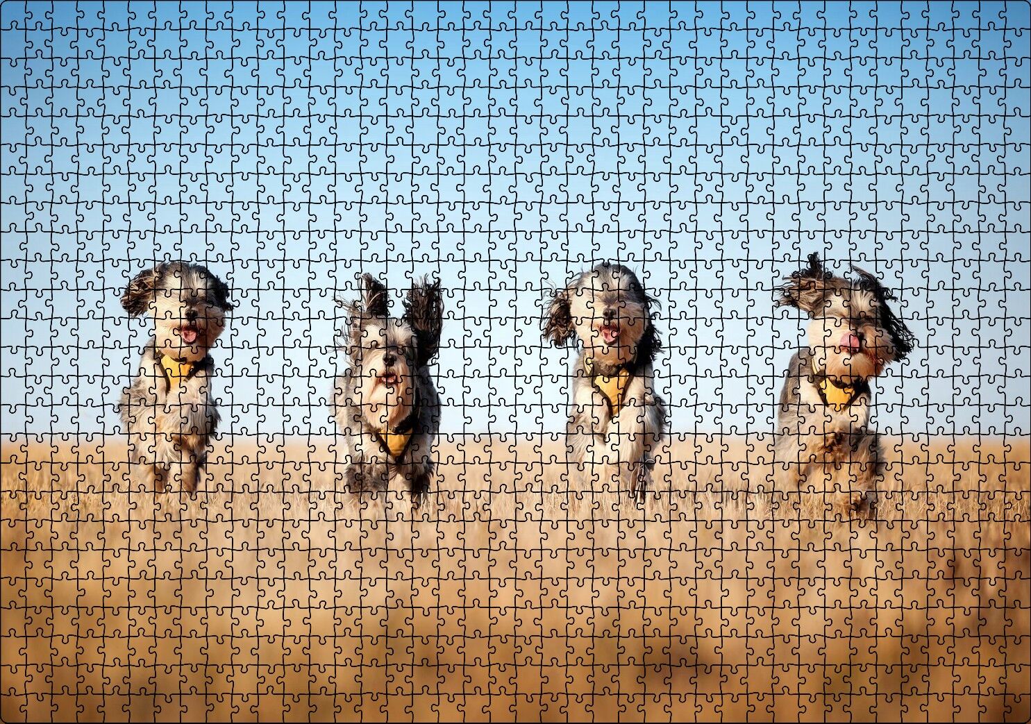 Kuru Otların Arasında Koşan 4 Sevimli Terrier Puzzle Yapboz MDF Ahşap 1000 Parça 49 cm X 68 cm