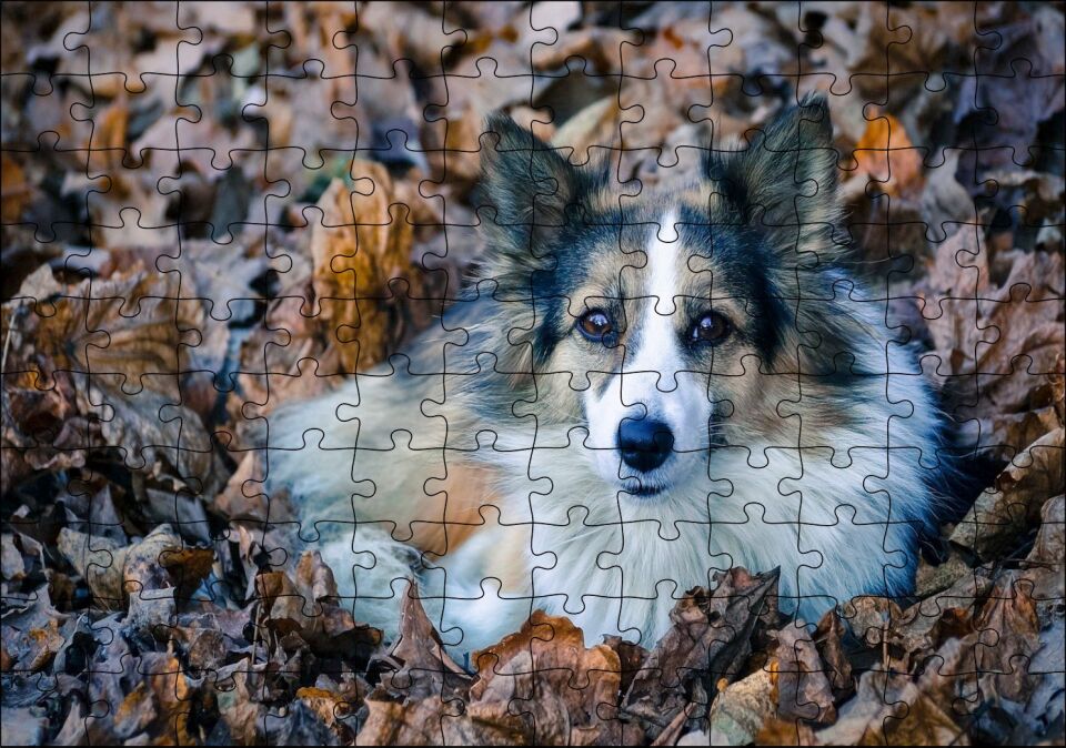 Kuru Yapraklar Arasındaki Sevimli Köpek Puzzle Yapboz MDF Ahşap 120 Parça 24 cm X 34 cm