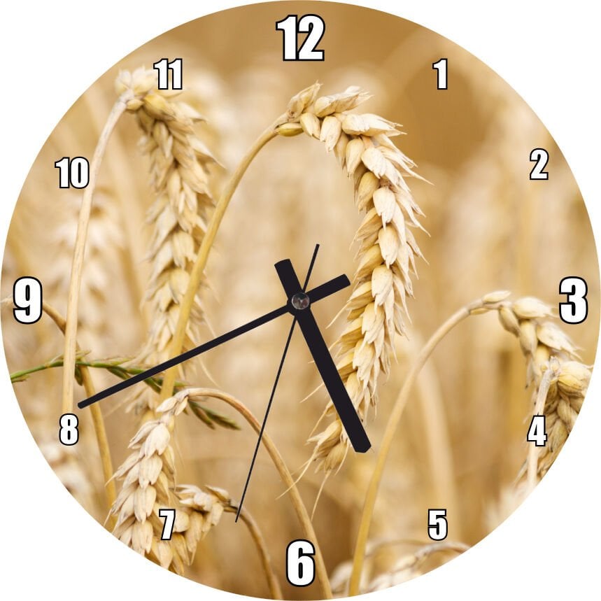 Eğilmiş Buğday Başakları Yakın Çekim Mdf Ahşap Duvar Saati