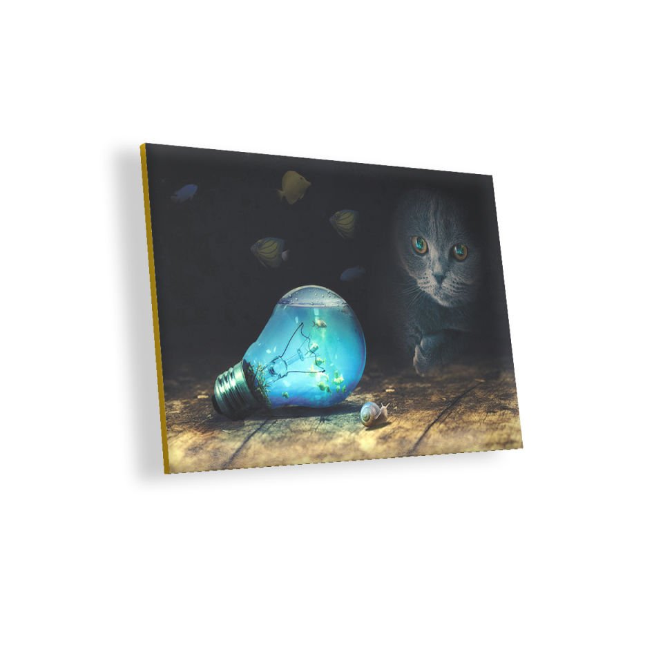 Ampul Balıklar Kedi Mavi Salyangoz MDF Akşap Duvar Tablo 25x35 cm