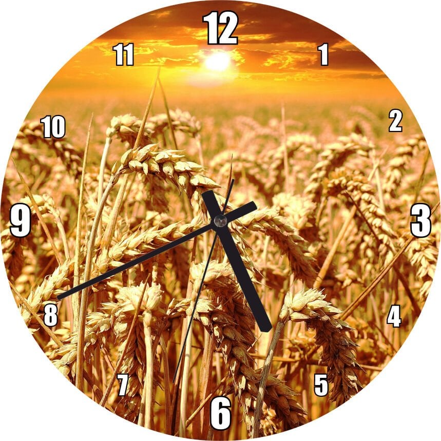 Eğilmiş Buğday Başakları ve Günbatımı Mdf Ahşap Duvar Saati