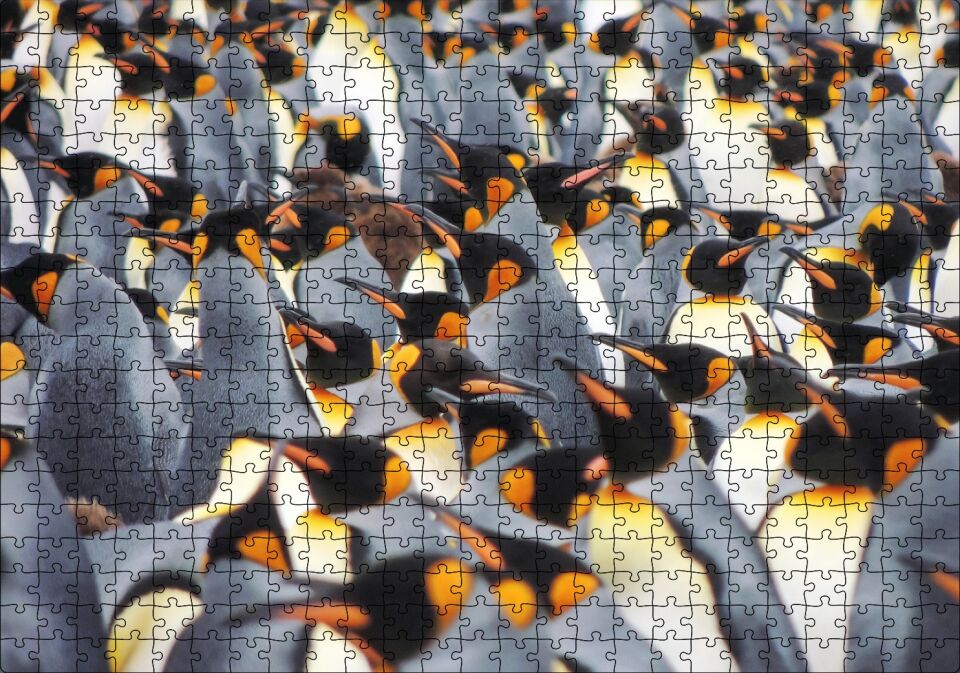 İmpataror Penguenleri Bir Arada Puzzle Yapboz MDF Ahşap 500 Parça 49 cm X 68 cm