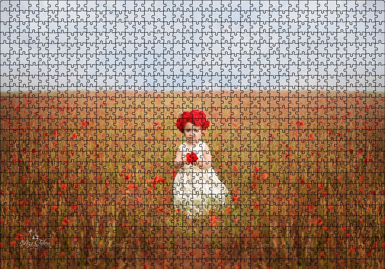 Kırmızı Gelincikler ve Küçük Kız Puzzle Yapboz MDF Ahşap 1000 Parça 49 cm X 68 cm