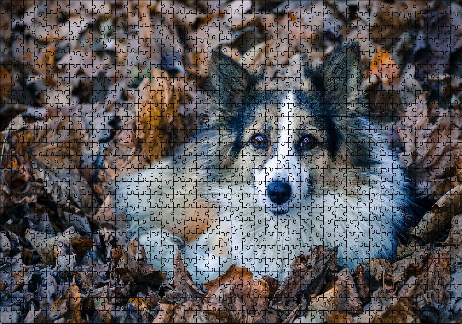 Kuru Yapraklar Arasındaki Sevimli Köpek Puzzle Yapboz MDF Ahşap 1000 Parça 49 cm X 68 cm
