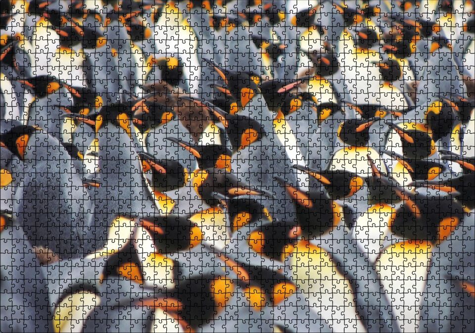 İmpataror Penguenleri Bir Arada Puzzle Yapboz MDF Ahşap 1000 Parça 49 cm X 68 cm