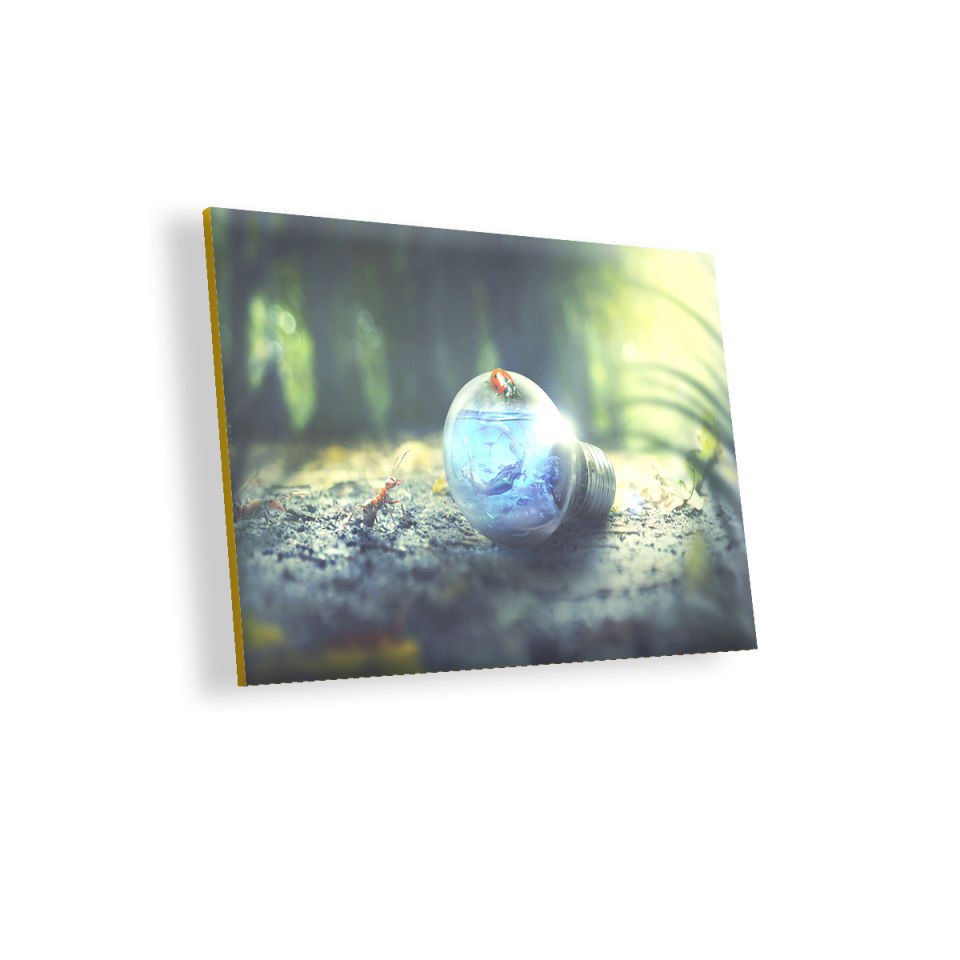 Ampül Doğa Karınca Uğurböceği MDF Akşap Duvar Tablo 35x50 cm